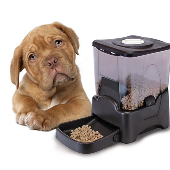 Best Deal For 10.65 Litres Automatic Pet Feeder in Australia, Sydney